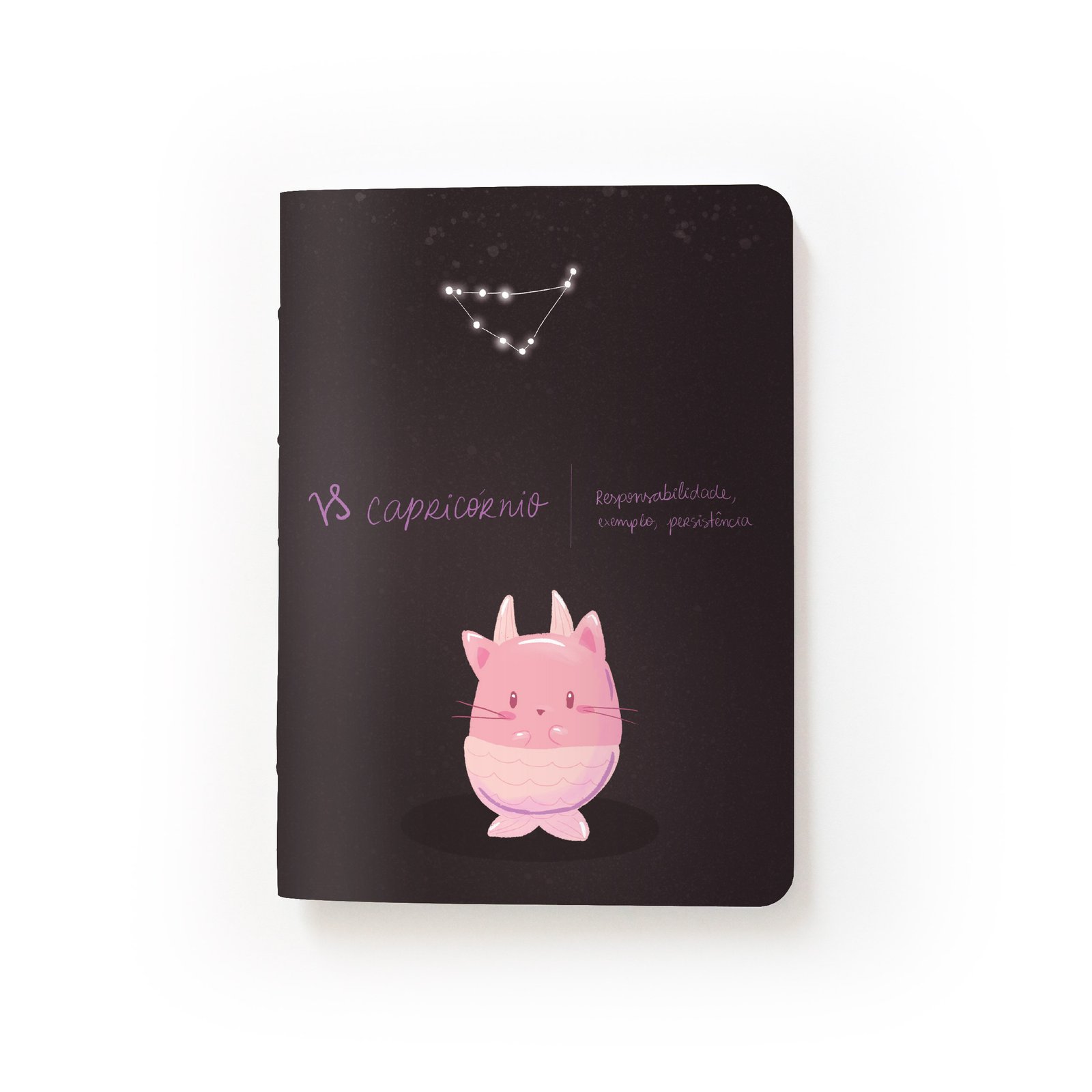 Signo - Capricórnio - Imagem 2